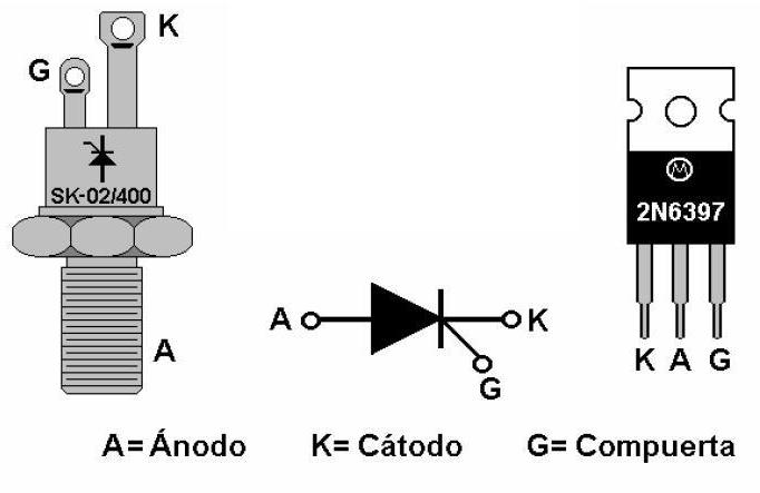 Resultado de imagen para SCR